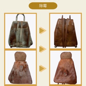 A4規格(31*29*cm)或以上 7 aj 包袋 04